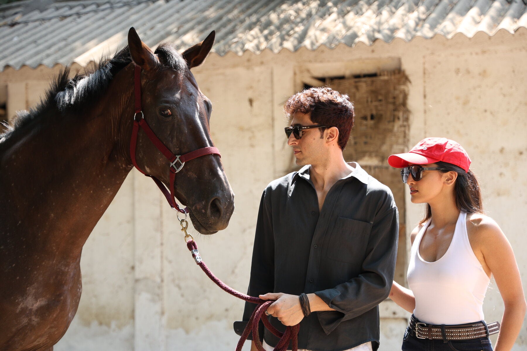 Ollo Eyewear